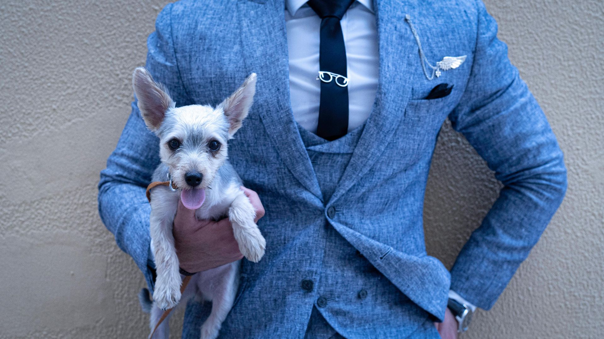 The Lazy Artist Gallery