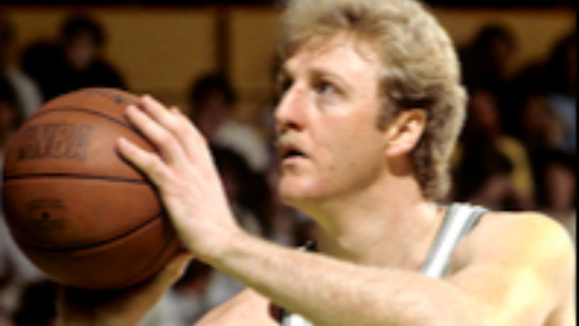 File:Larry Bird Lipofsky.jpg