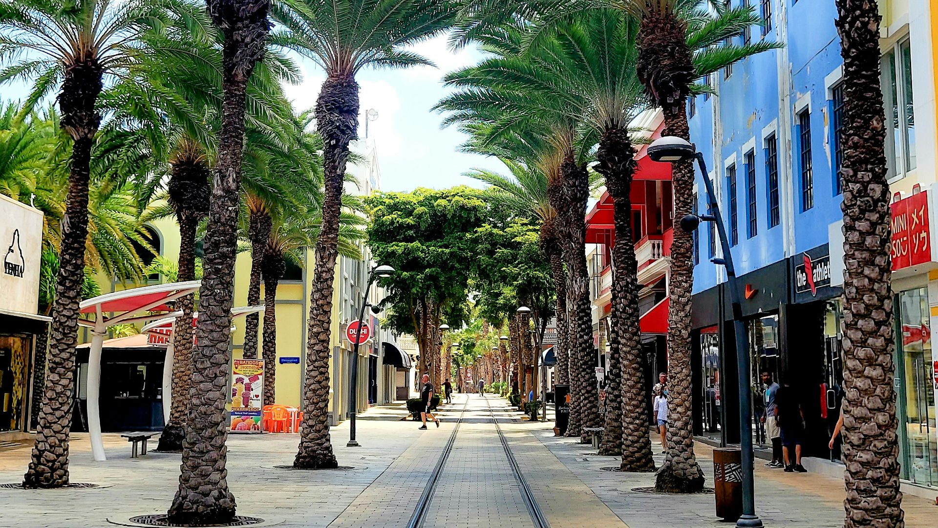 a street lined with palm trees and shops