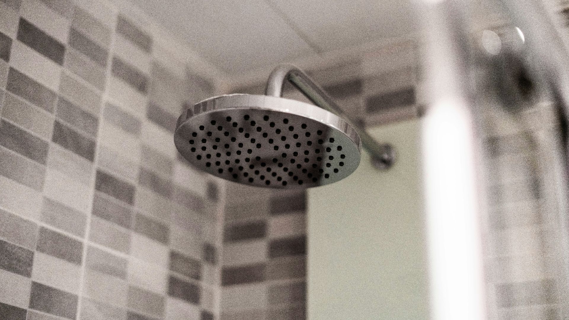 grey stainless steel shower head
