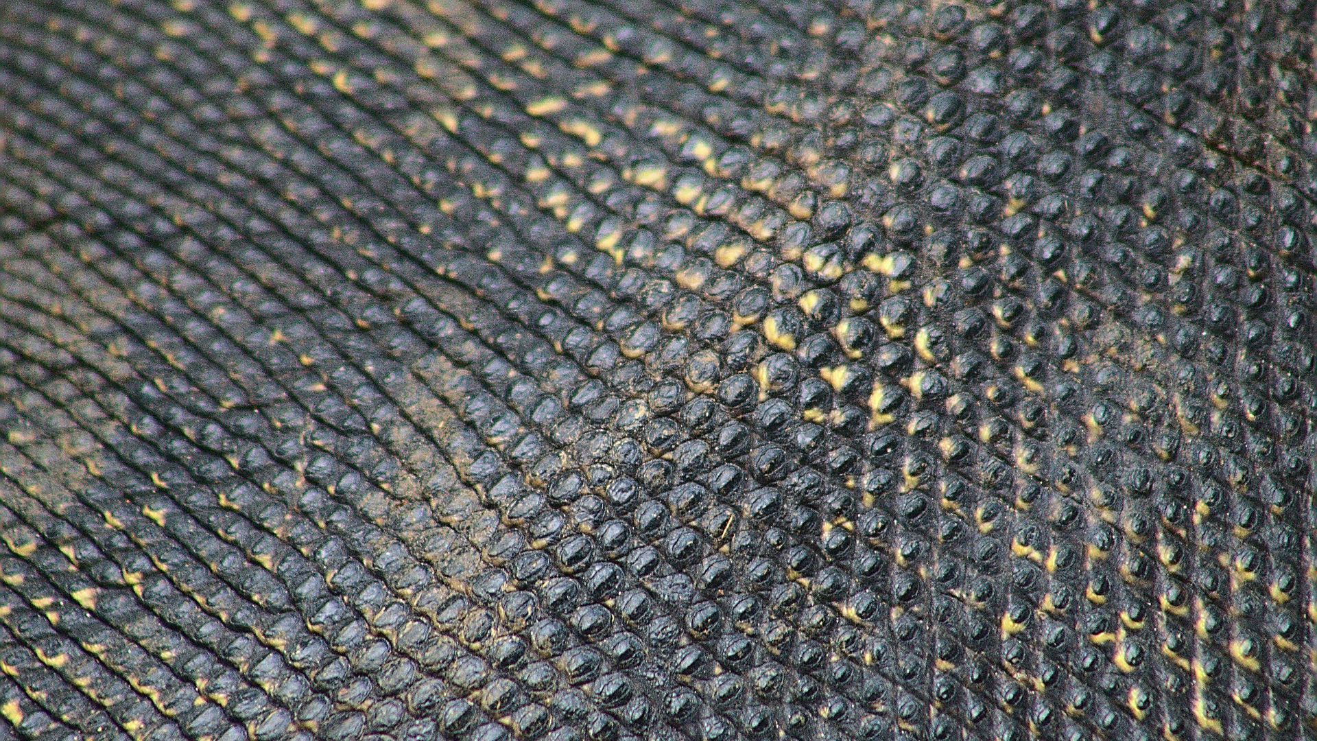 Rarest Cloth 20 Rarest Clothing Materials You’ll Never Wear - SheFashionable