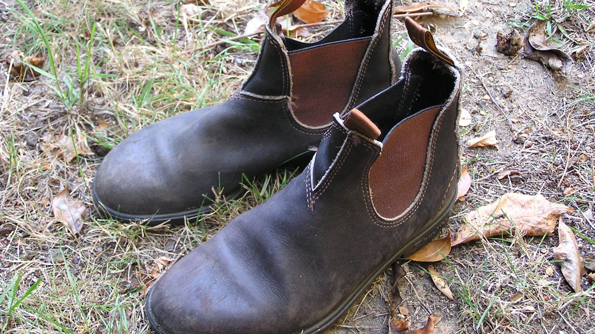 File:AustralianElasticSidedBoots.JPG