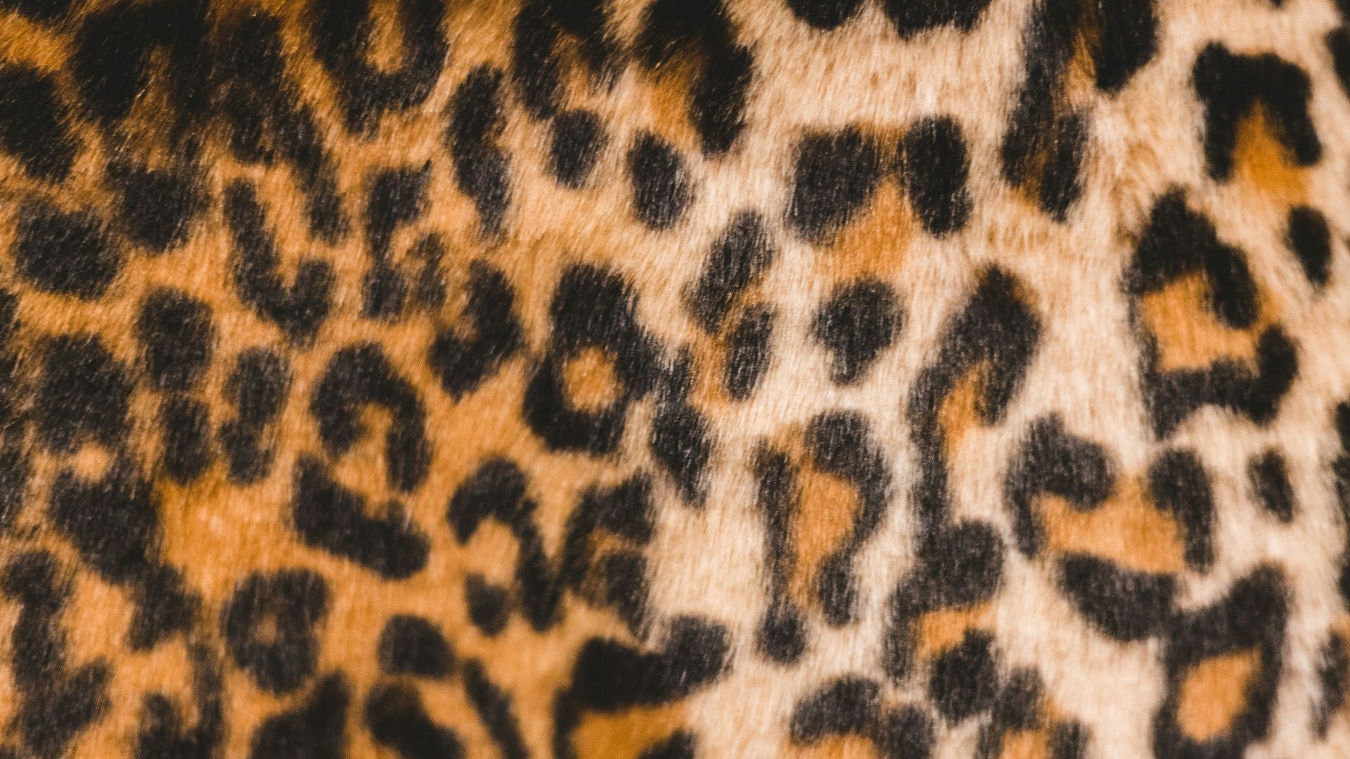 black and brown leopard print garment