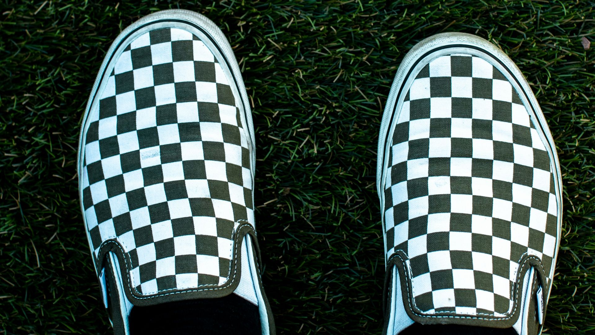 person wearing white and black checkered slip on shoes