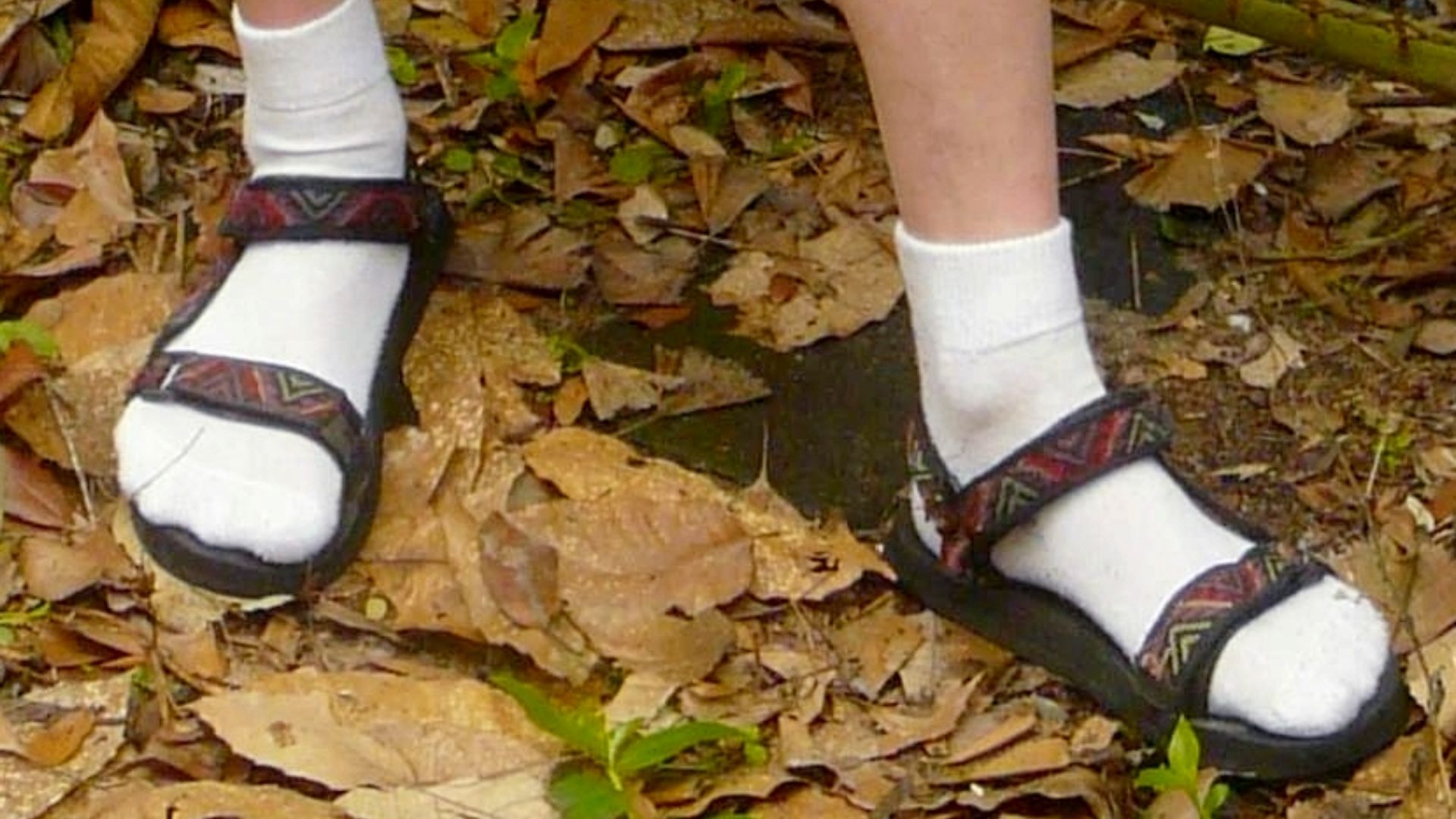 File:Sandals Worn wth White Ankle Socks.jpg