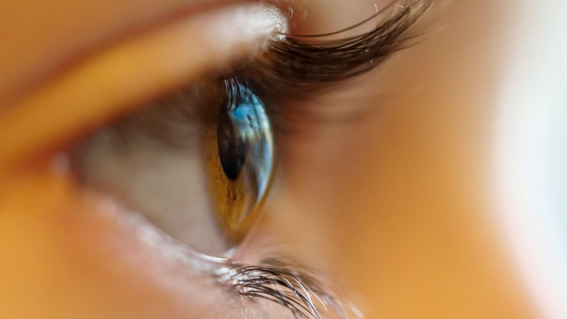 shallow focus photo of person brown iris