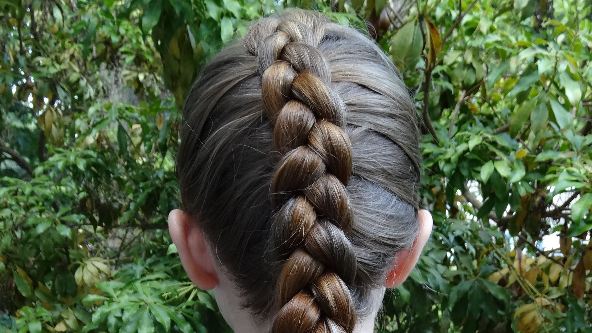 File:Dutch Braid.JPG