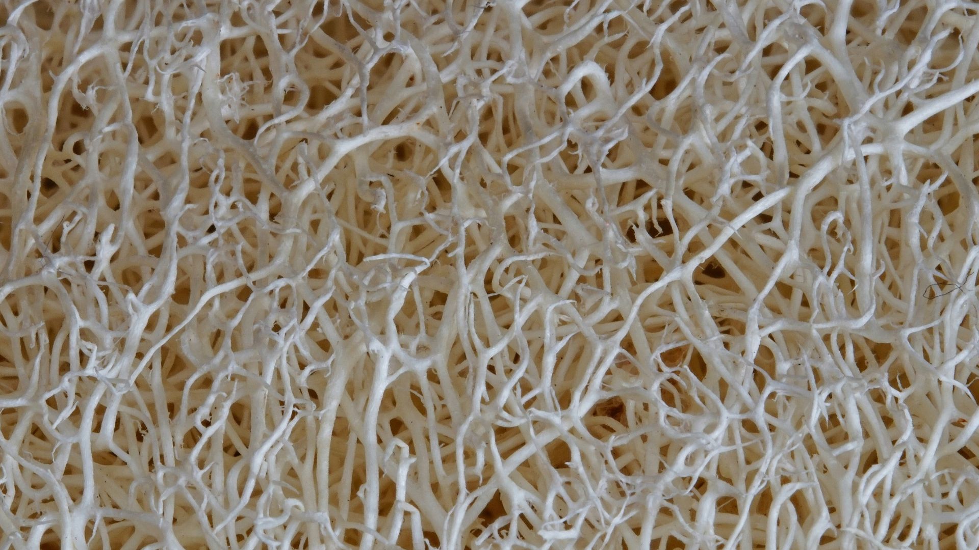 white and black fur textile