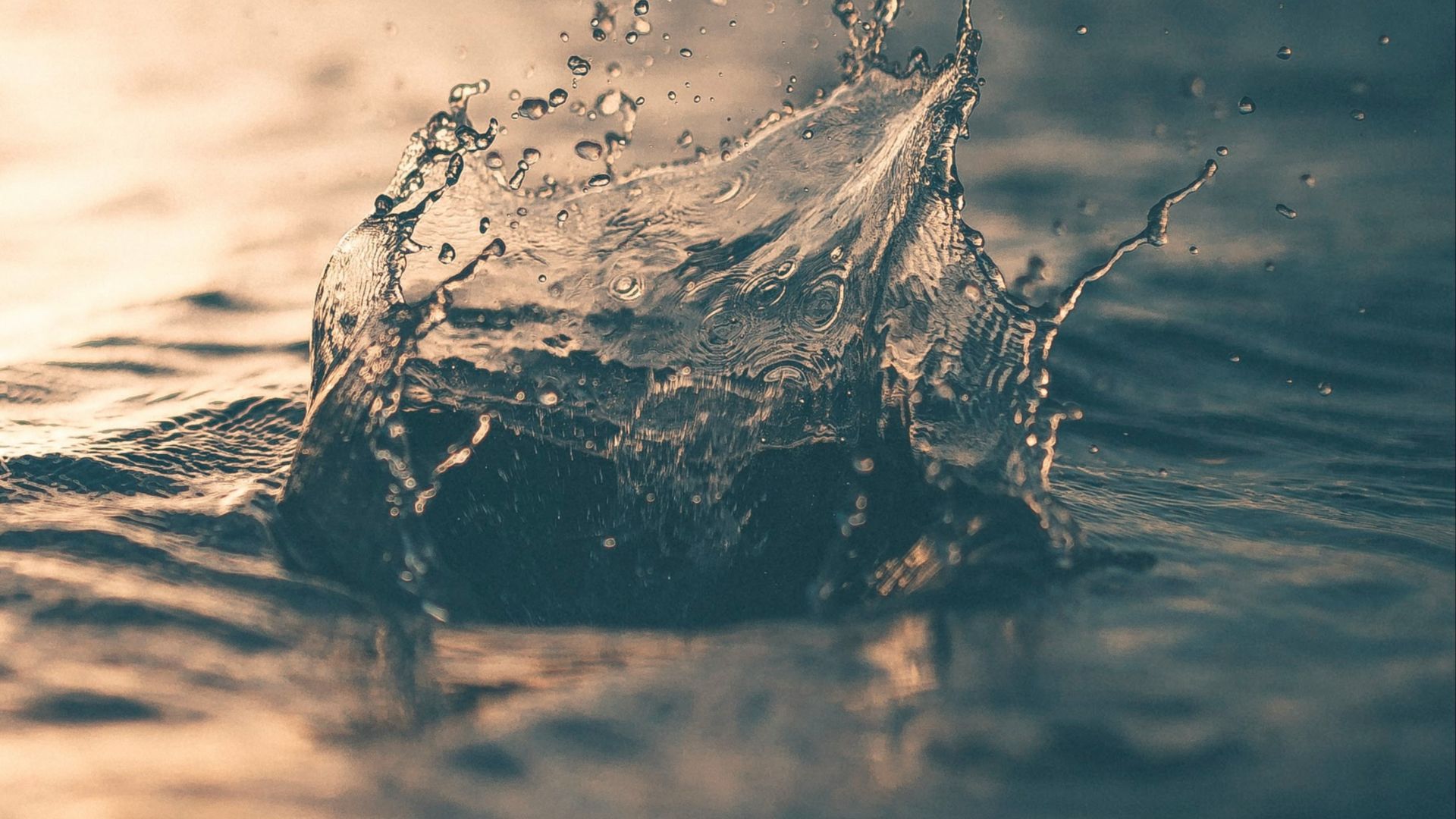 selective focus photography of water splash