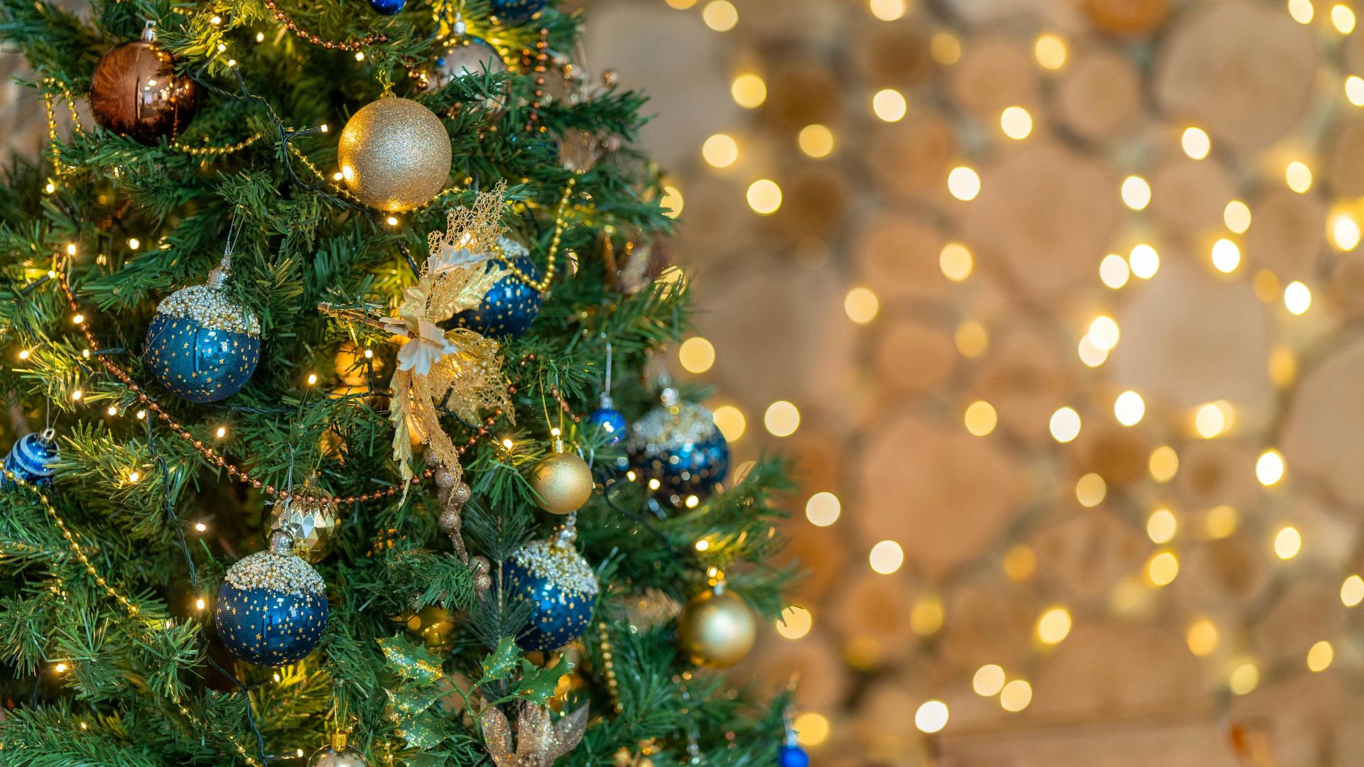 Hunt on Photos Studio