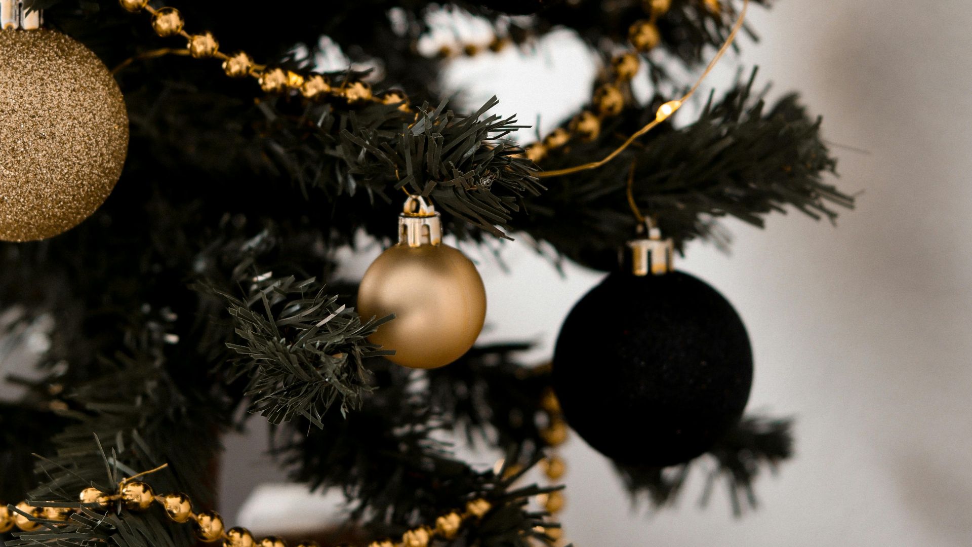 Viktoriia Kondratiuk