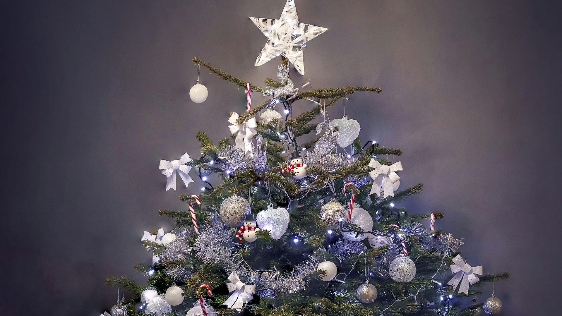 Boys in Bristol Photography