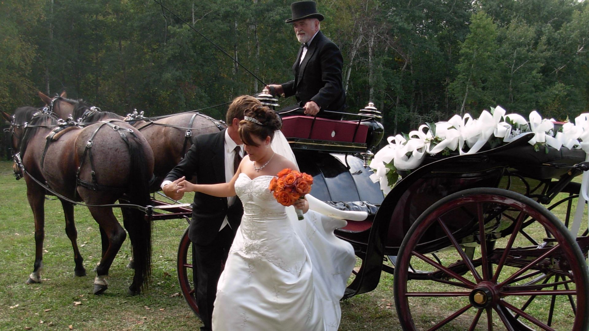 File:WeddingCarriage.JPG