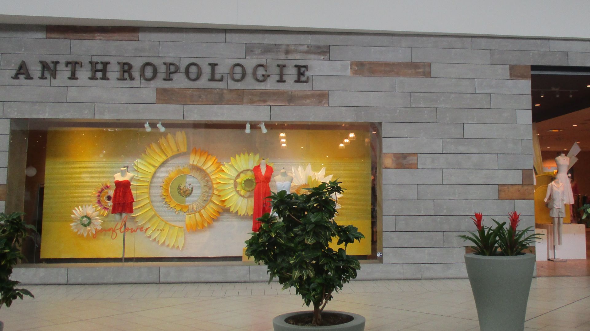 File:Anthropologie Chinook Centre.jpg