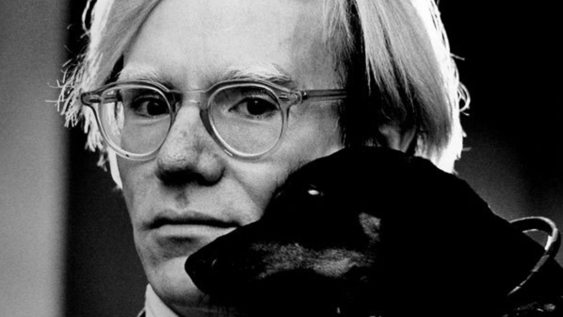 File:Andy Warhol by Jack Mitchell.jpg