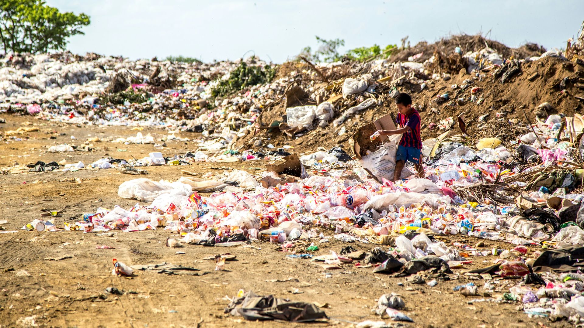 boy holding cardboard box