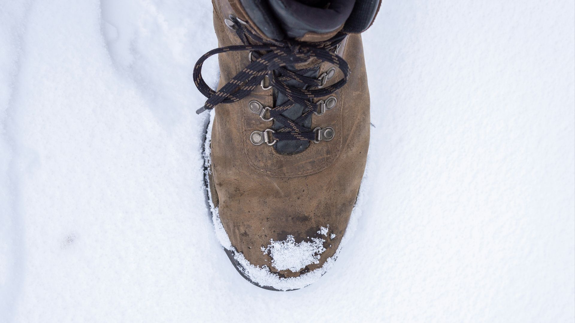 A pair of shoes that are in the snow