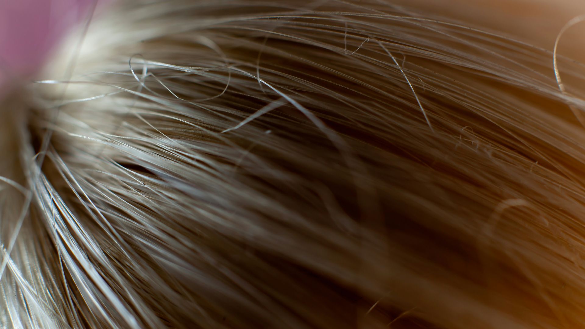 close up of a hair