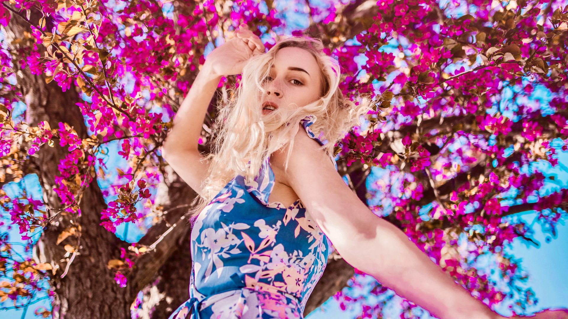 woman in blue and white floral dress lying on pink cherry blossom tree during daytime