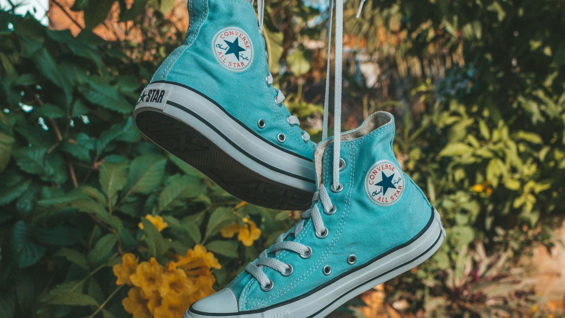 pair of teal Converse All-Star high-tops