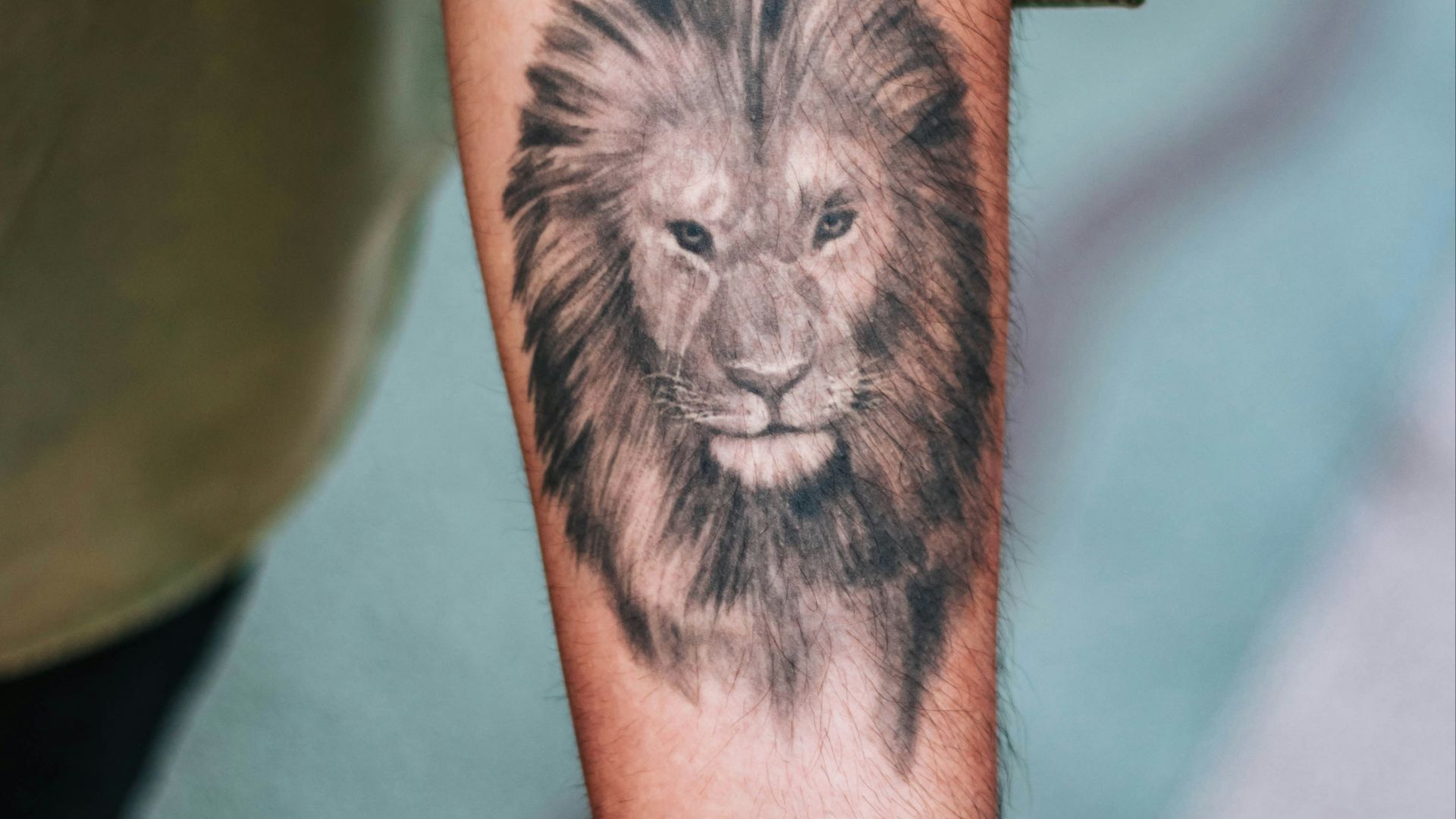shallow focus photography of lion forearm tattoo