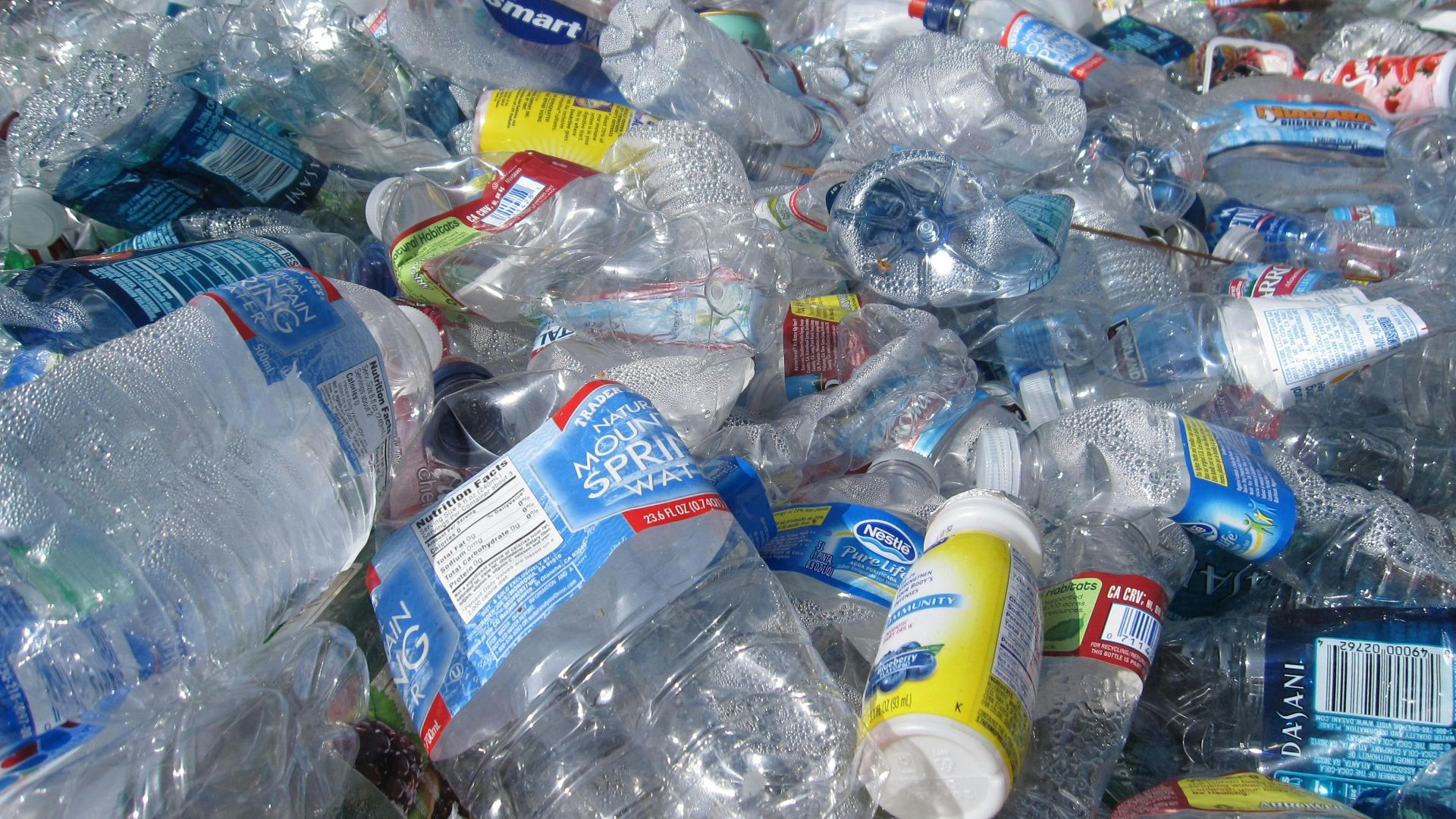 blue labeled plastic bottles