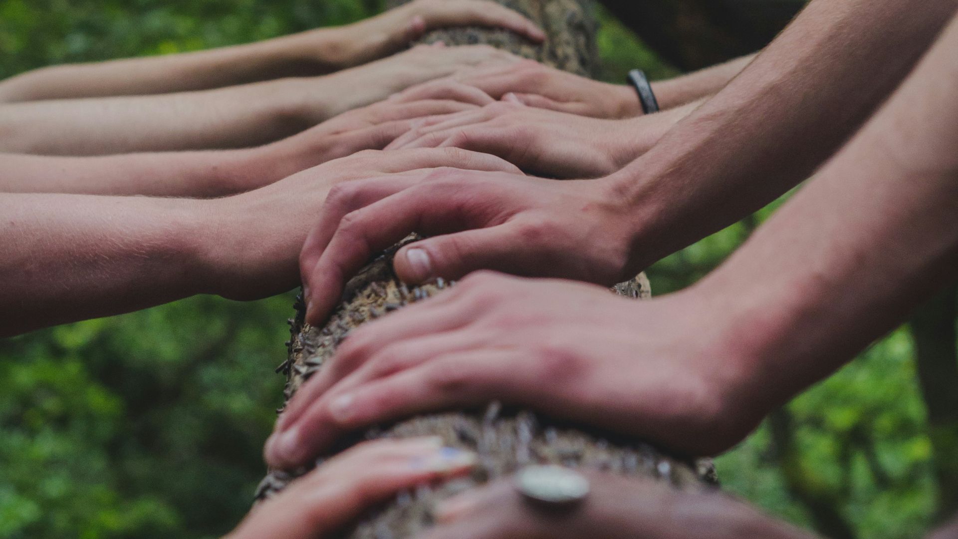a group of people holding hands on top of a tree