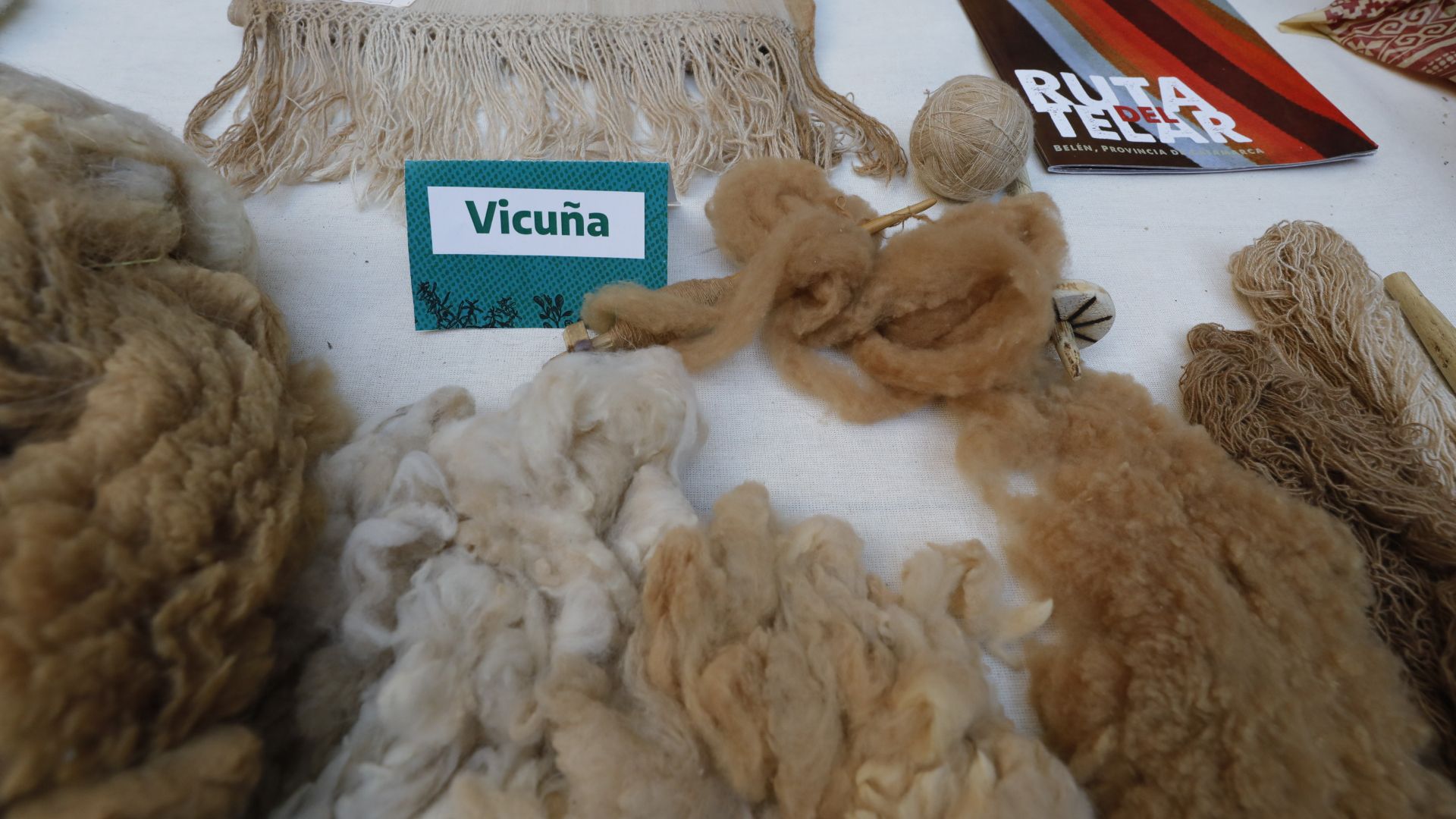 File:Diferentes lanas de vicuña - Conversatorio Las Manos que Piensan (Textiles).jpg
