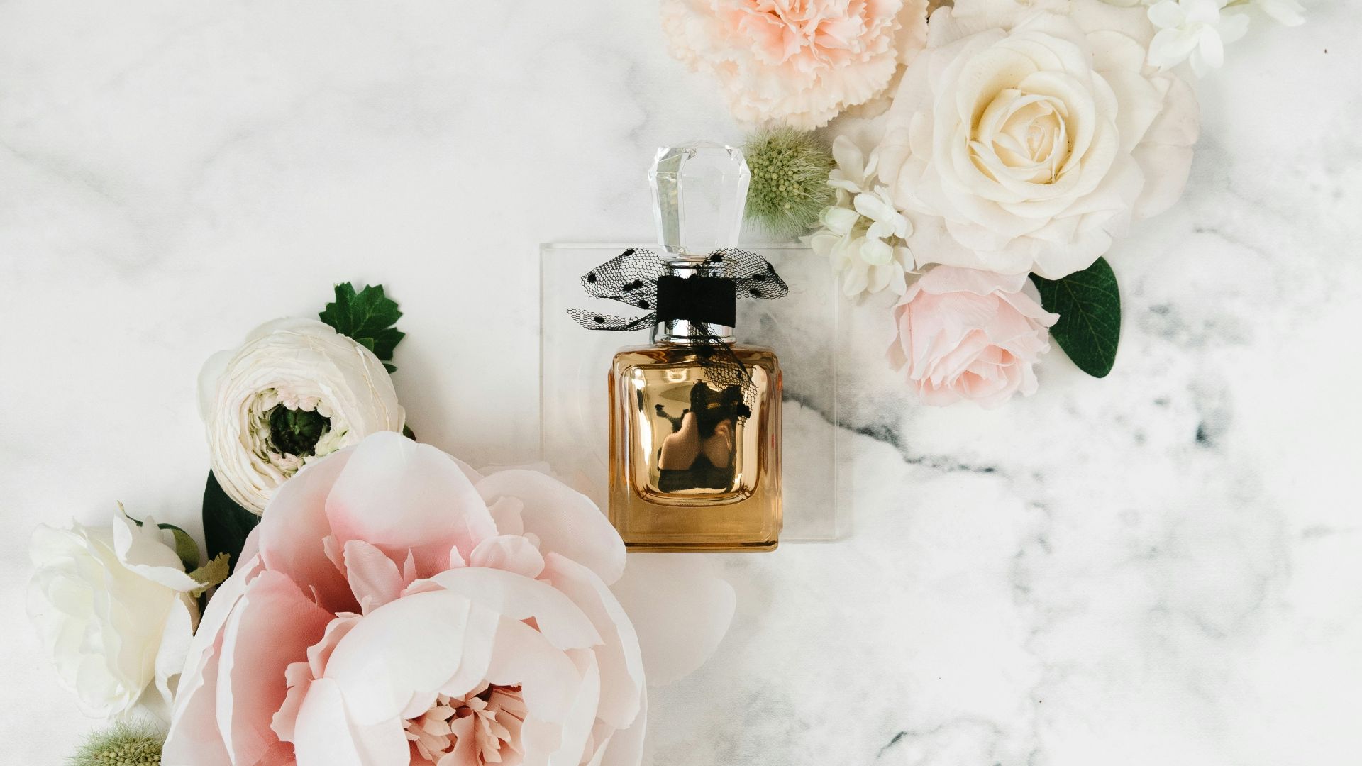 pink and white roses on white snow