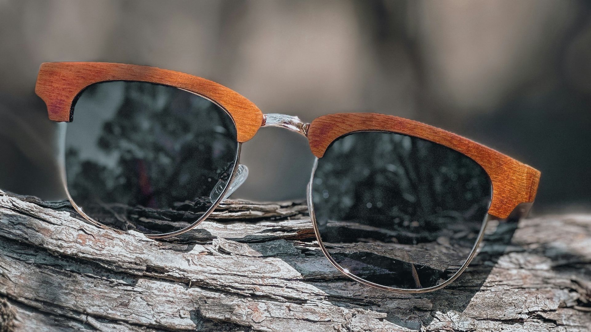 a pair of sunglasses sitting on top of a tree branch