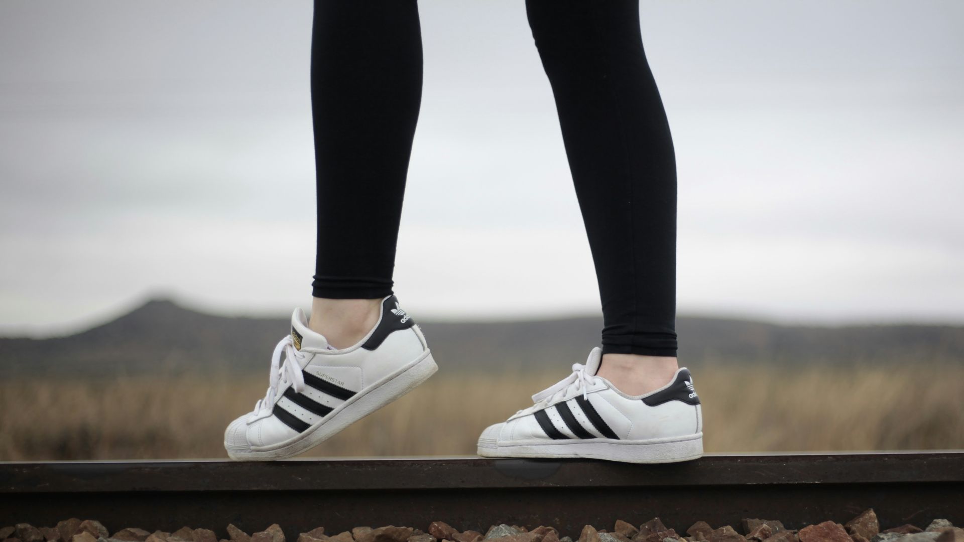person wearing white-and-black adidas superstar