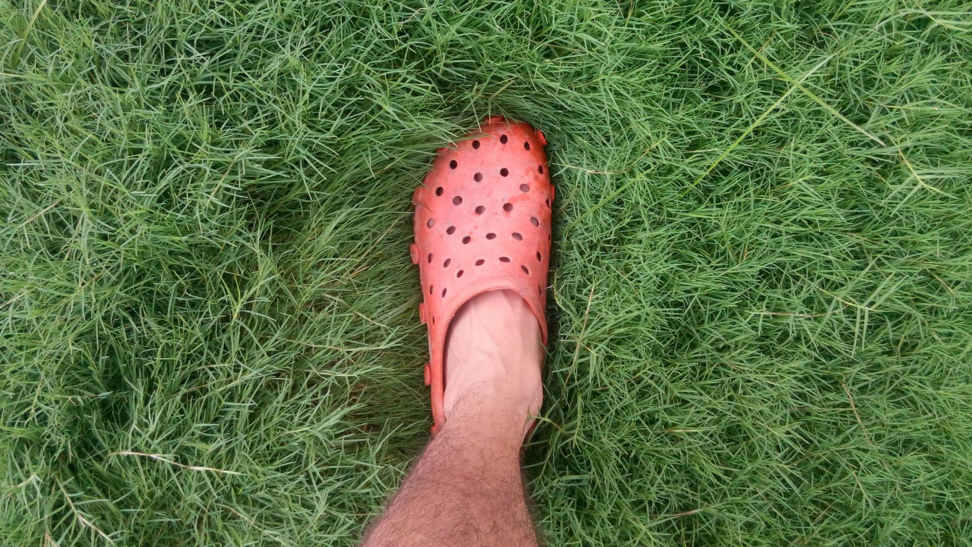 Ramandeep Singh Bali