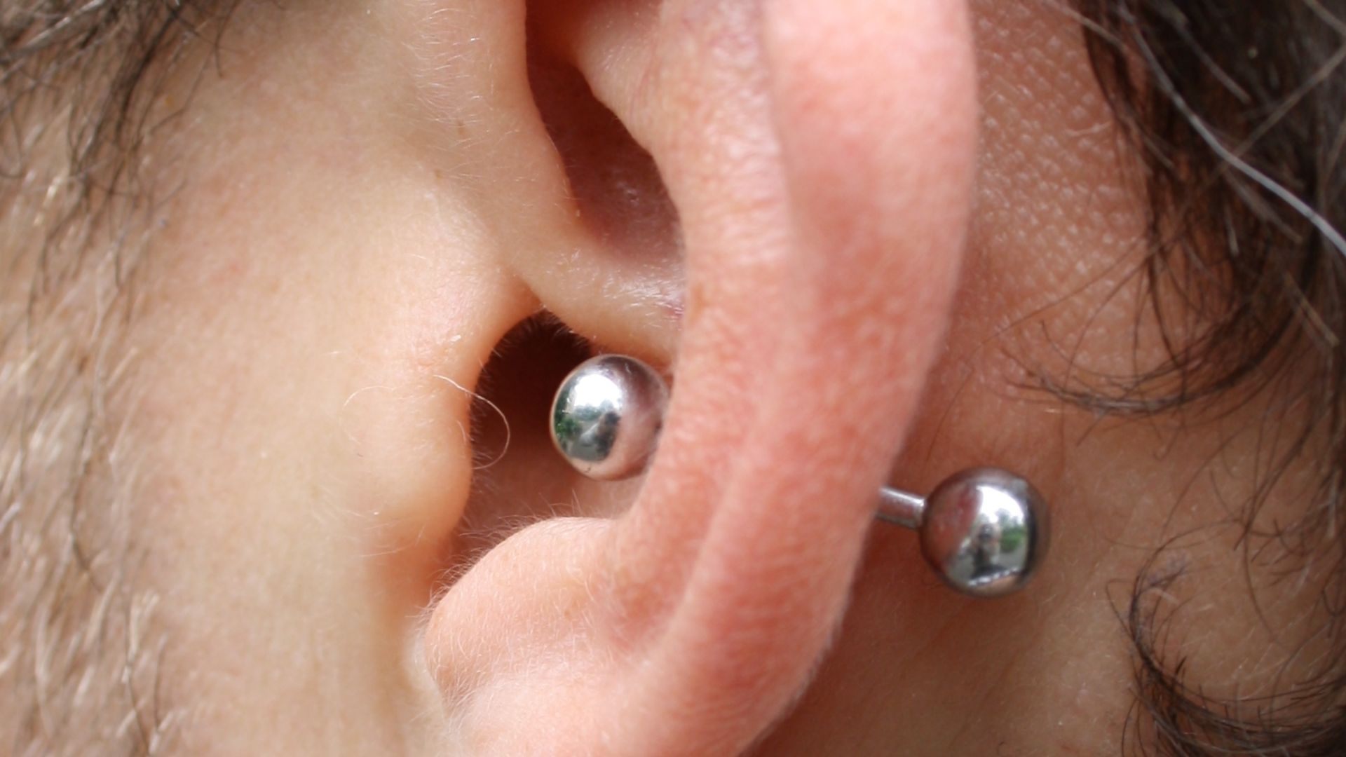 File:Conch-piercing.jpg