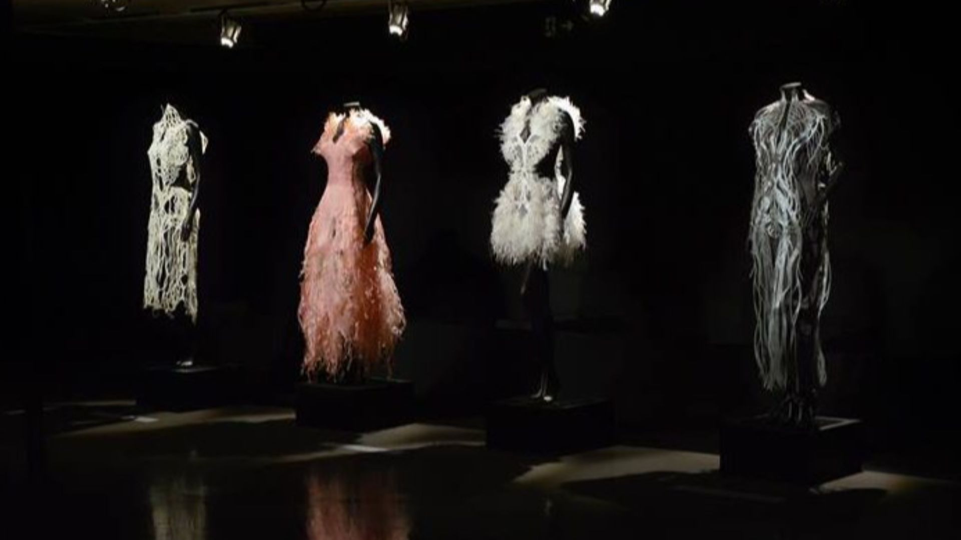 File:Internal Collection by Artist Amy Karle garments based on anatomy exhibited at at FILE Electronic Language International Festival 2017 São Paulo Brazil.jpg