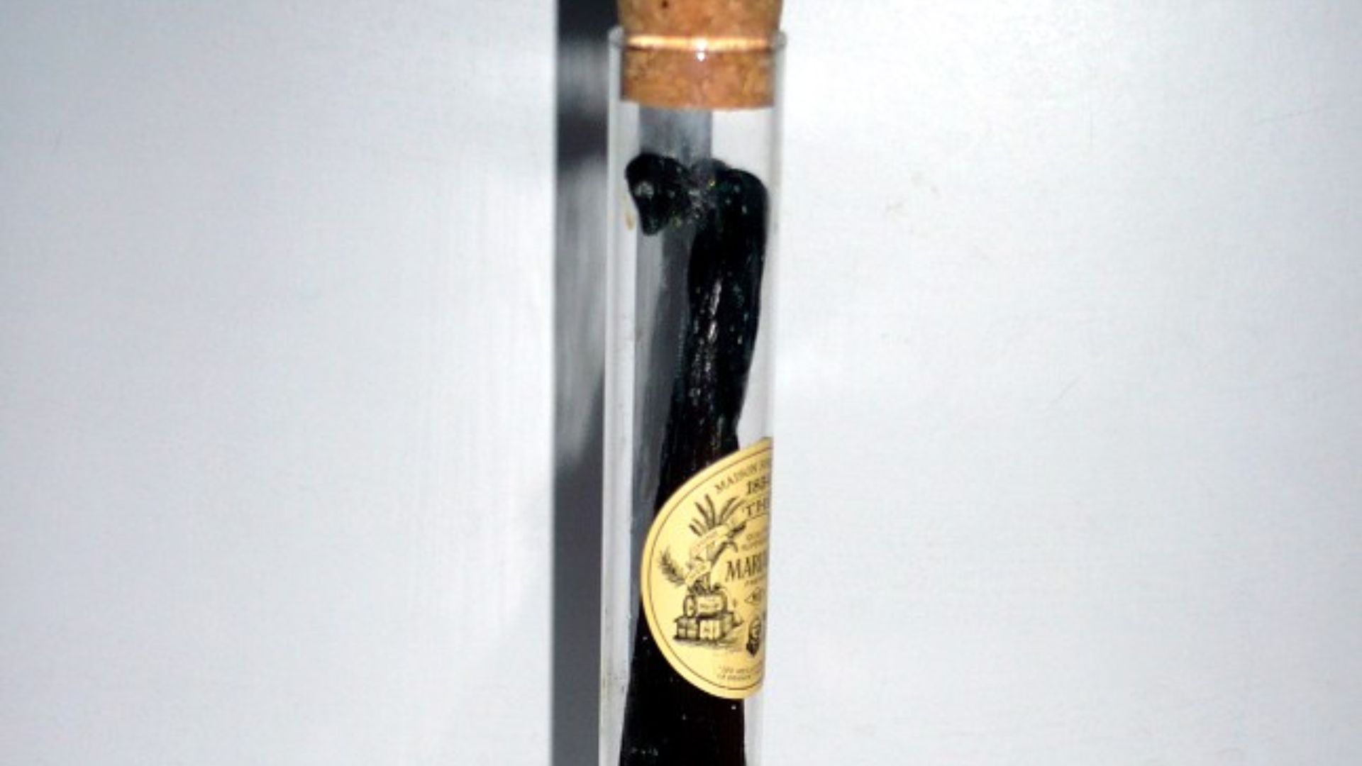 File:Vanilla pods in a test tube.jpg