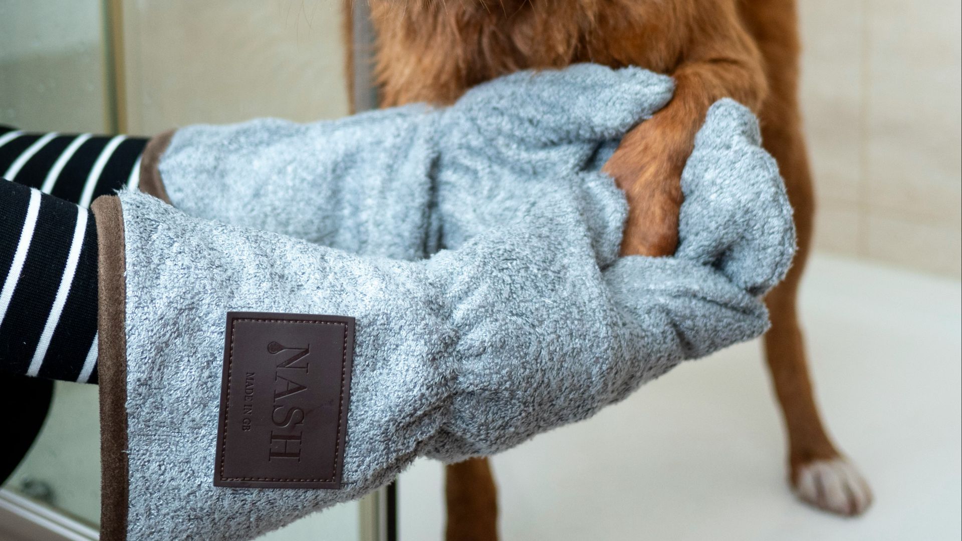 brown long coated dog on blue towel