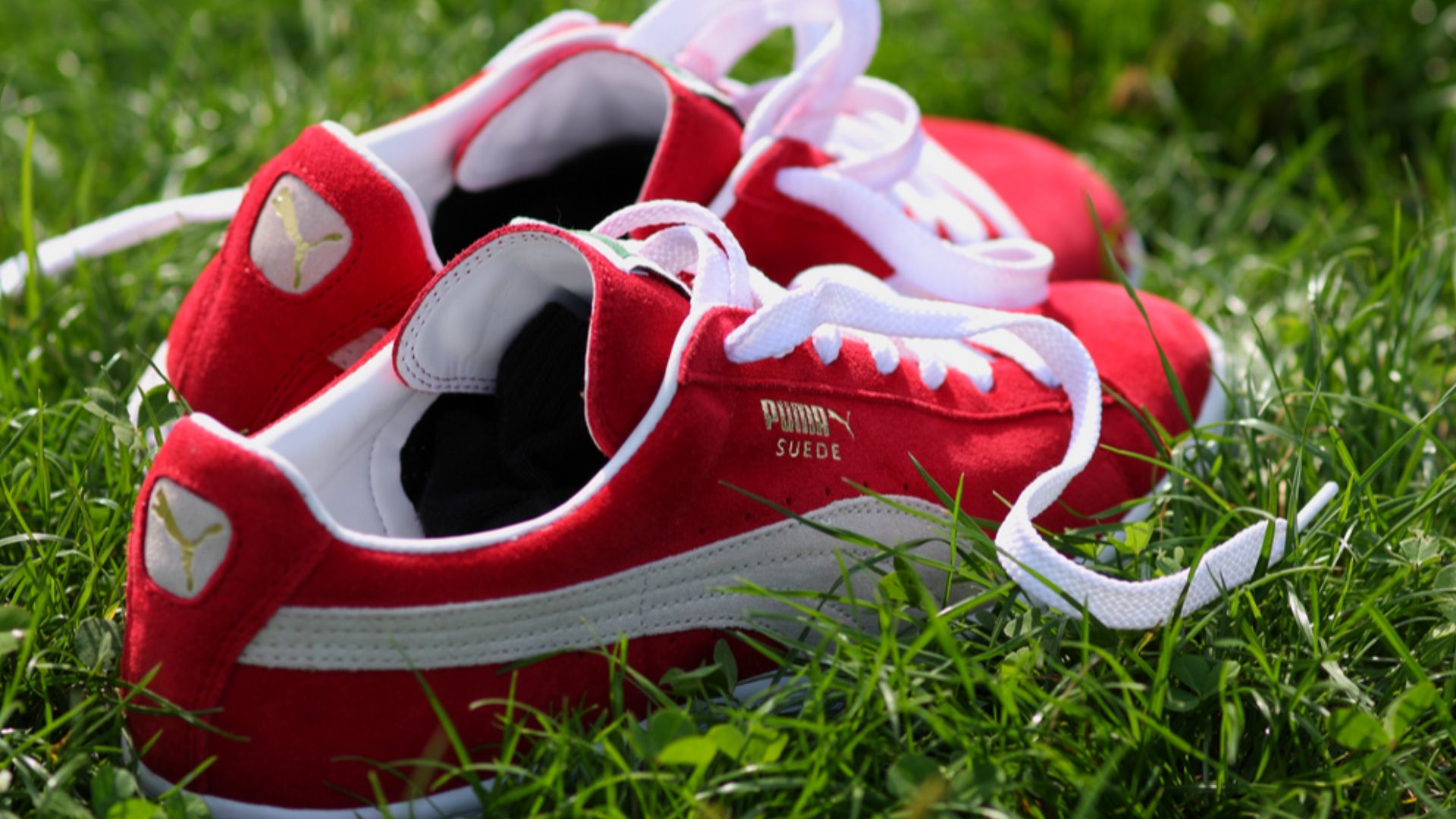 File:Puma shoes.jpg