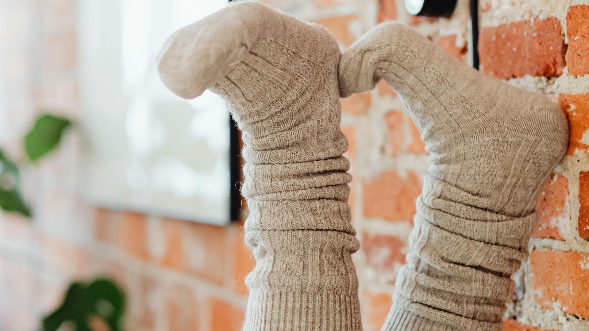 Photo By: Kaboompics.com