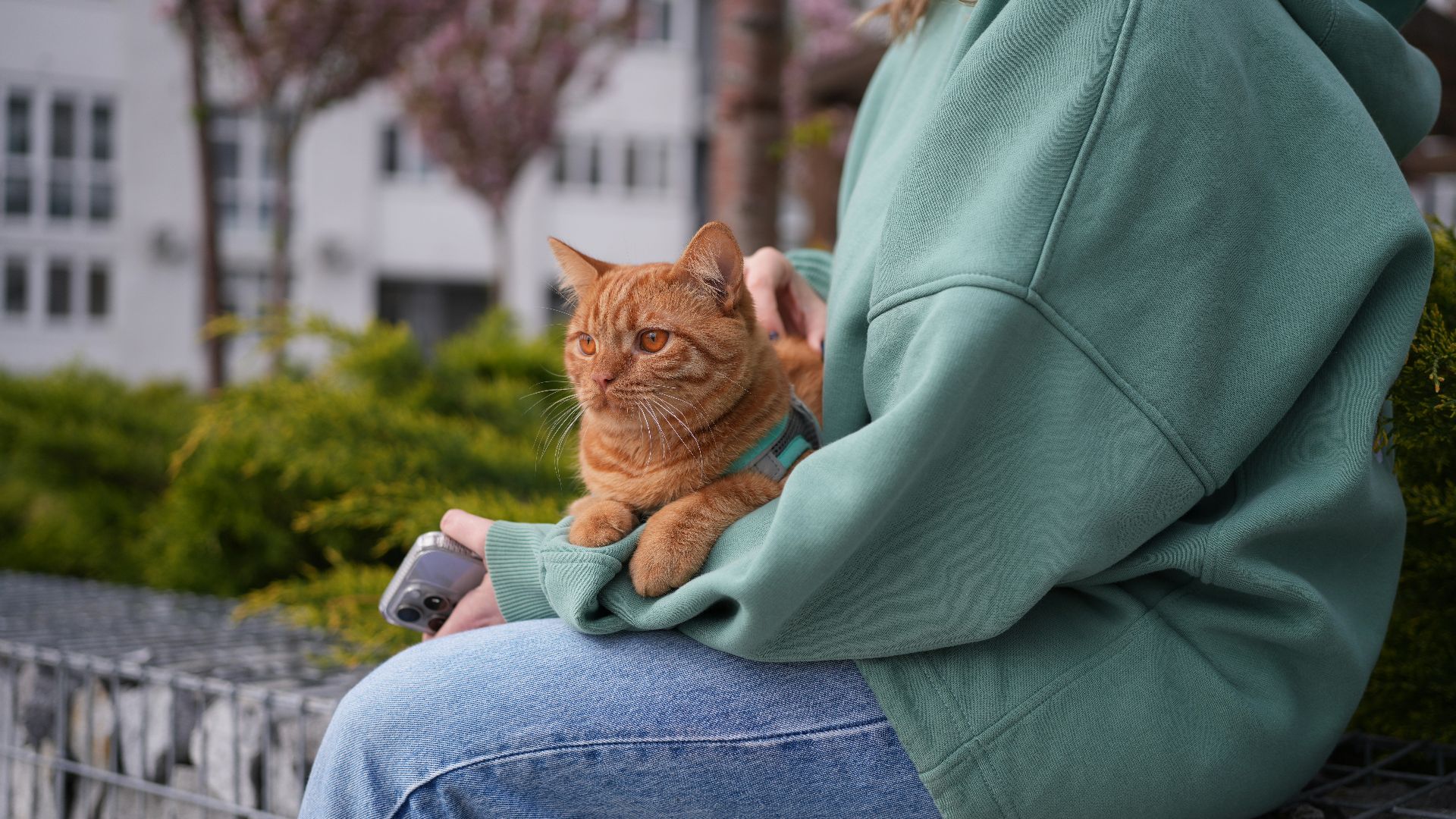 a person sitting on a bench with a cat on their lap