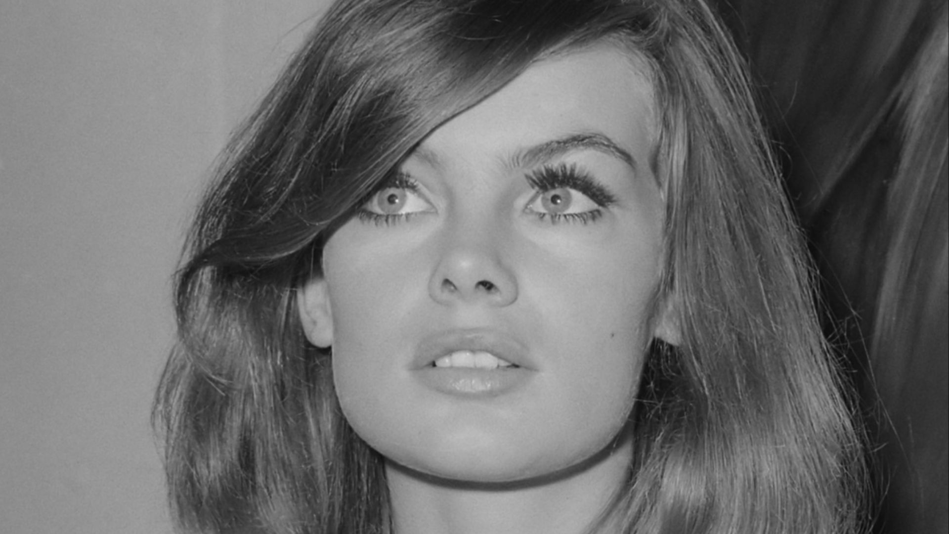 File:Jean Shrimpton (1965).jpg