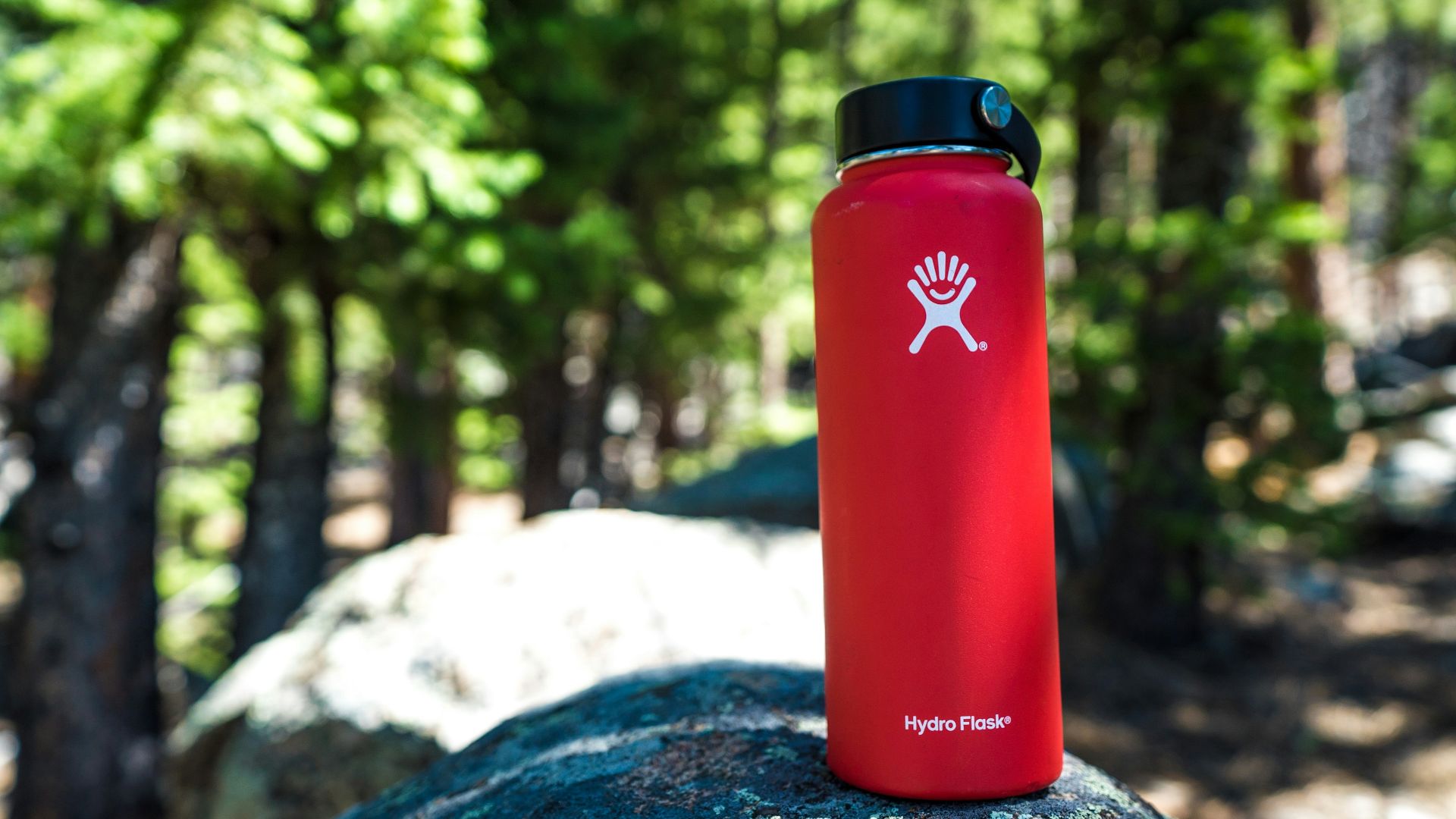 red and black plastic hydro flask on rock