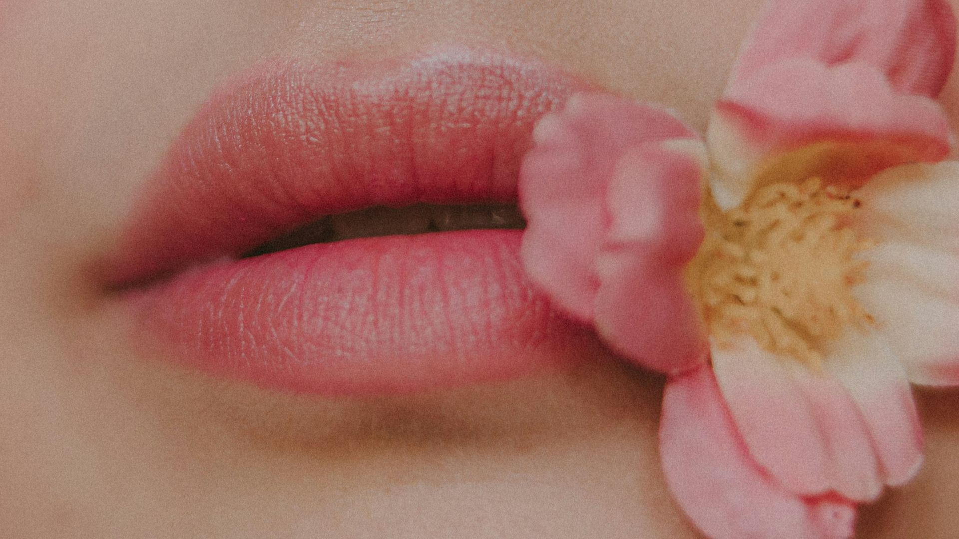 a close up of a woman's lips with a flower in her mouth