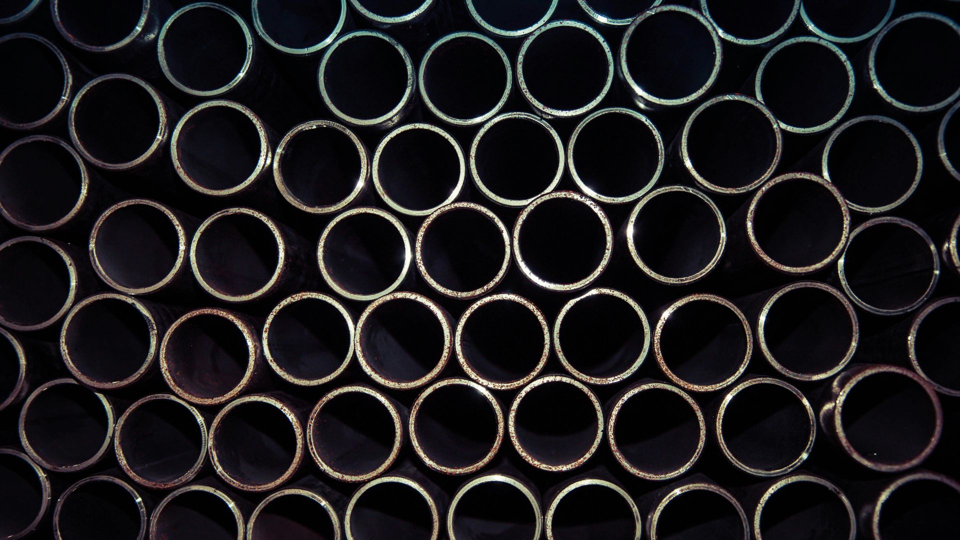 SHOCKPhoto by Szoka Sebastian