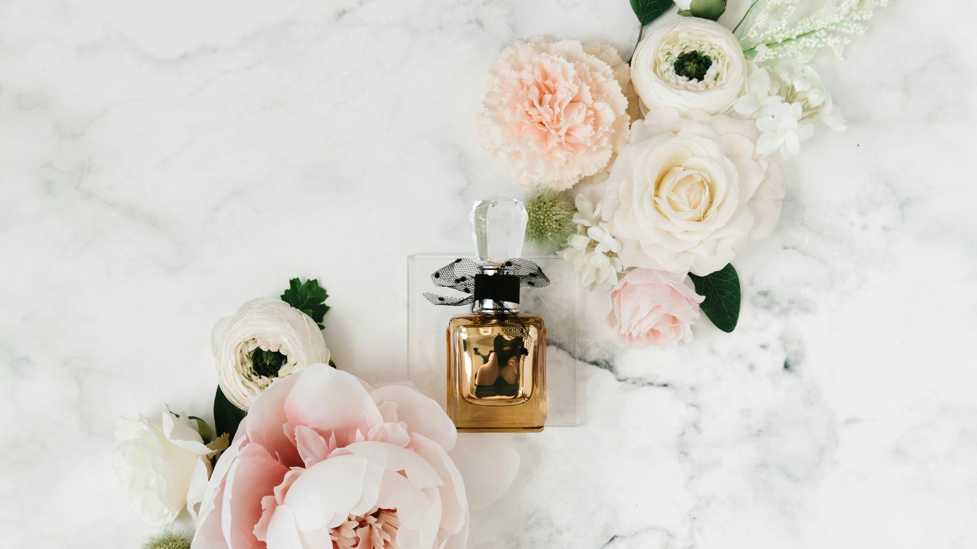 pink and white roses on white snow