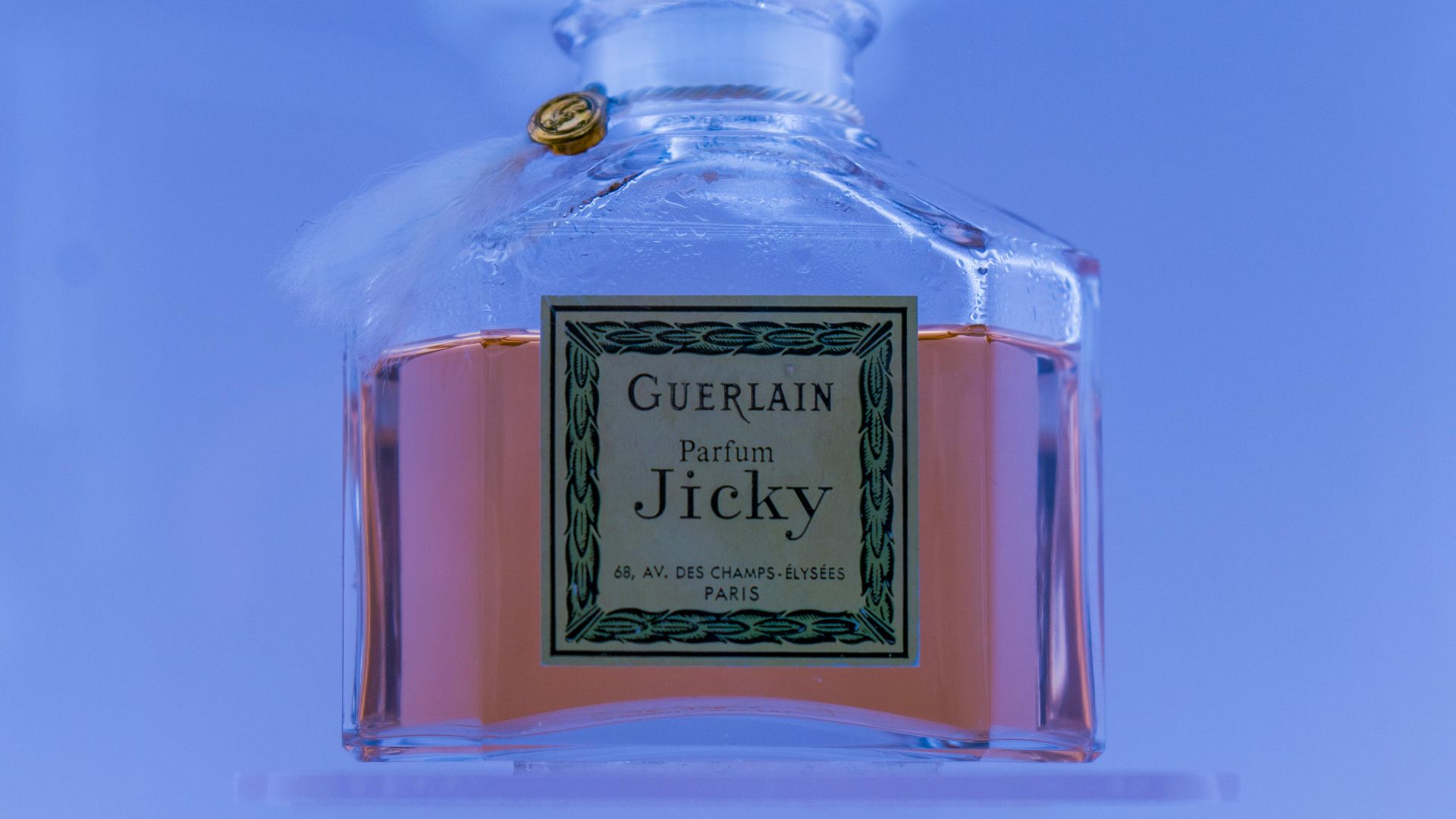 奥克坦 西维斯特