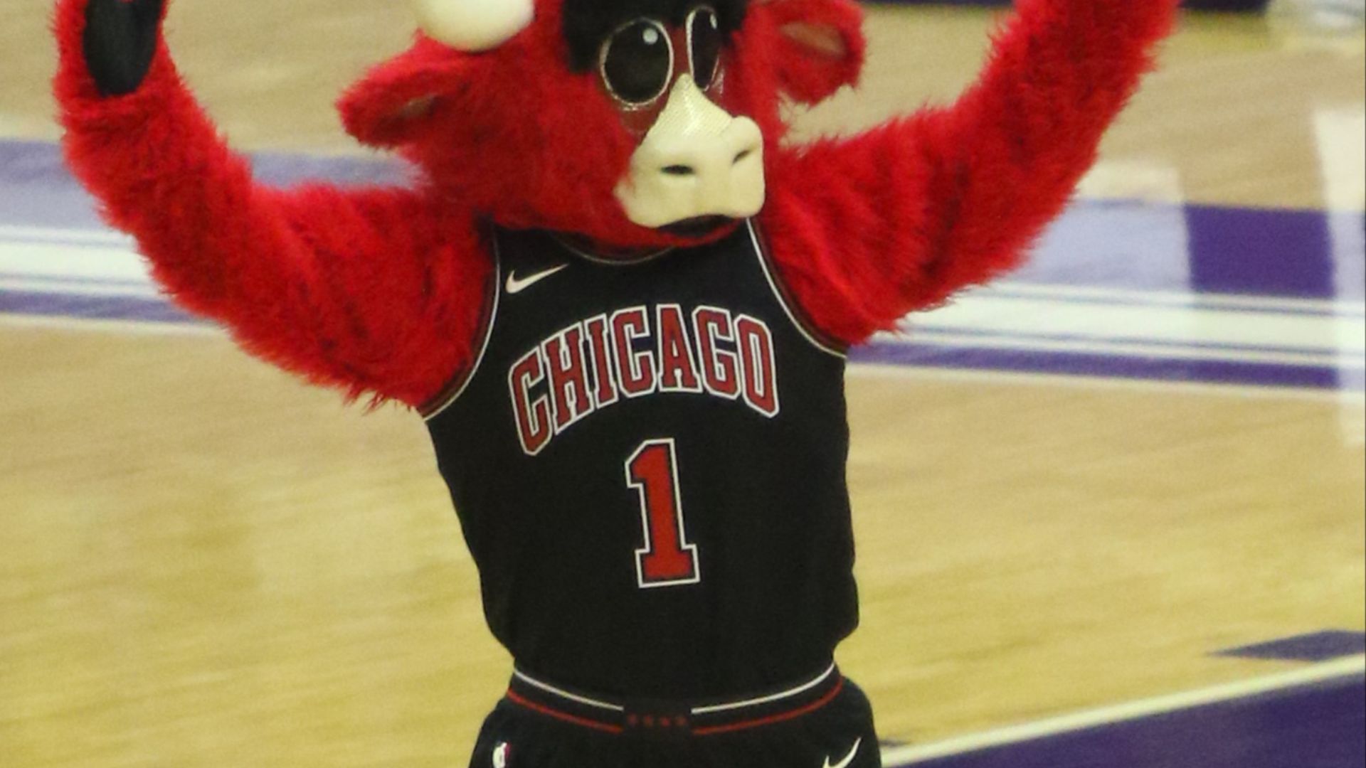 File:20180206 UM-NW Benny The Bull 7DM27126.jpg