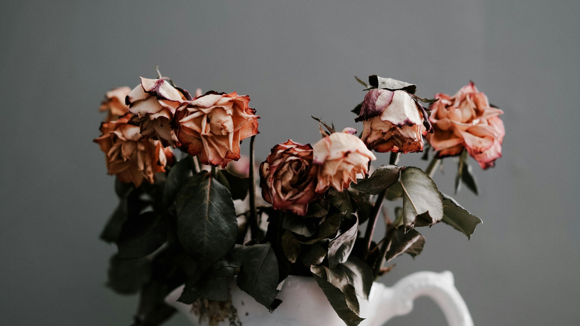 pink petaled flowers in vase