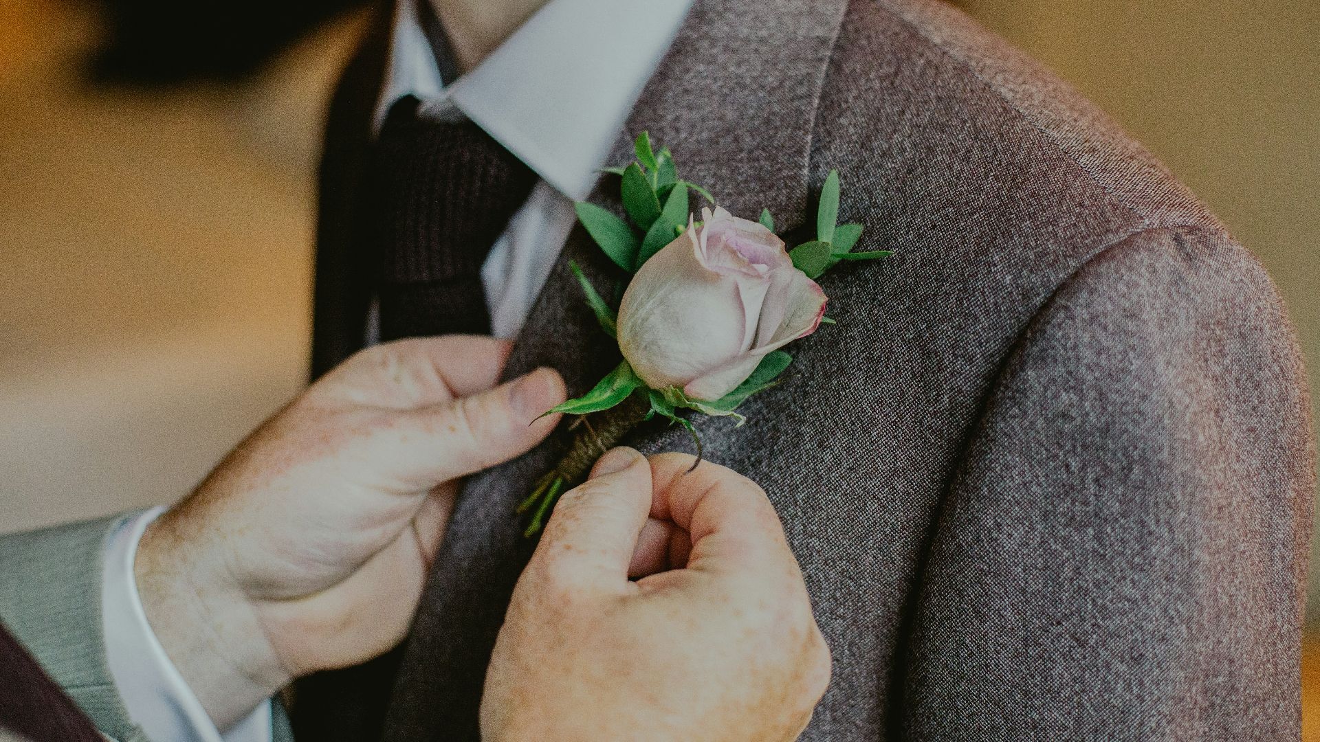 person putting pink rose pin on person's notched lapel suit jacket