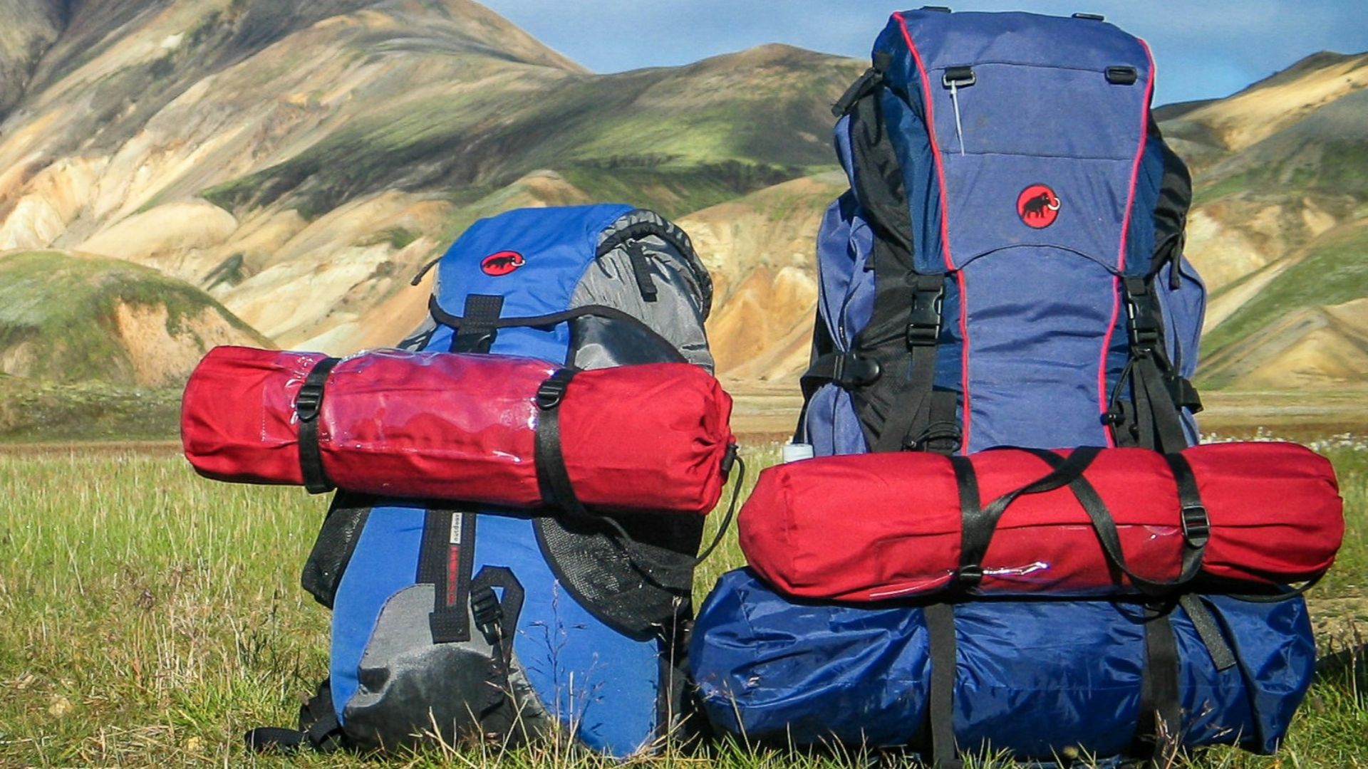 hiking backpacks on grass with mountains background