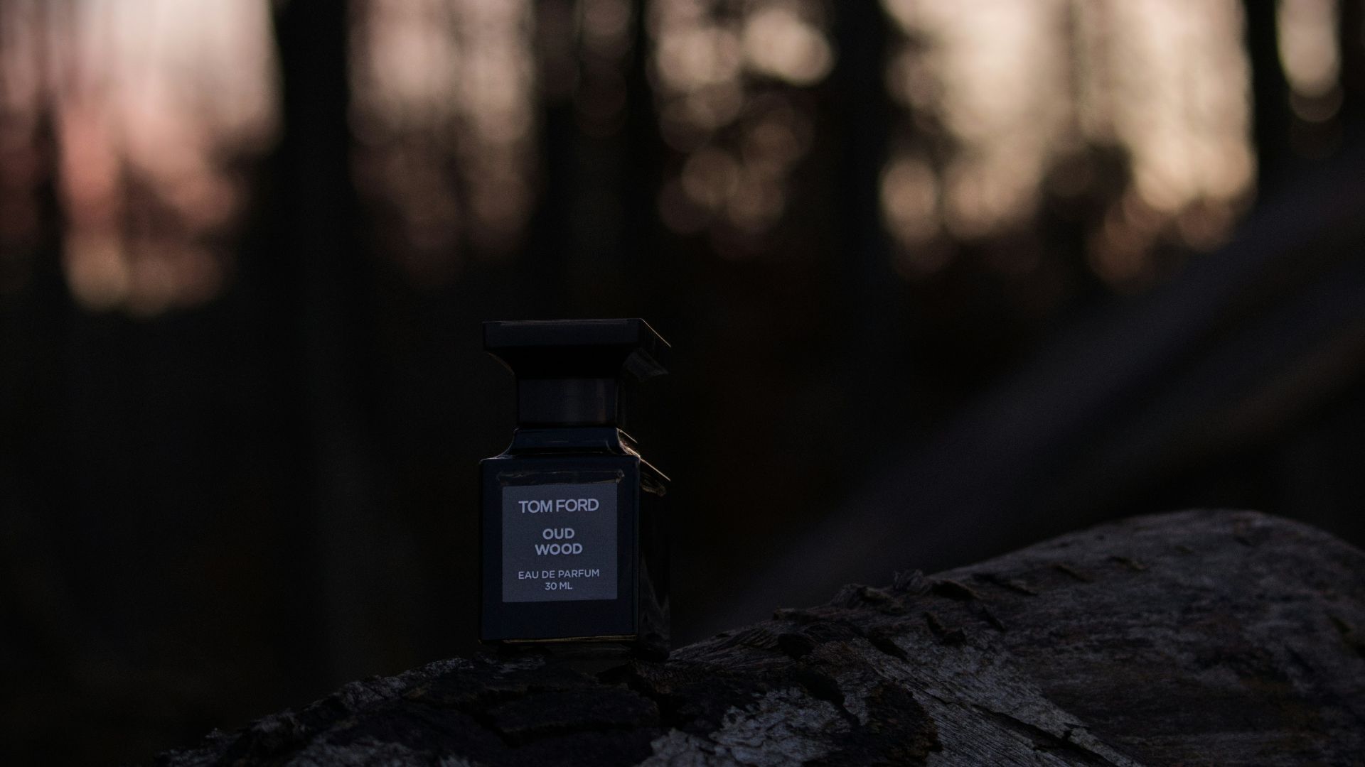 a candle sitting on top of a rock in the woods